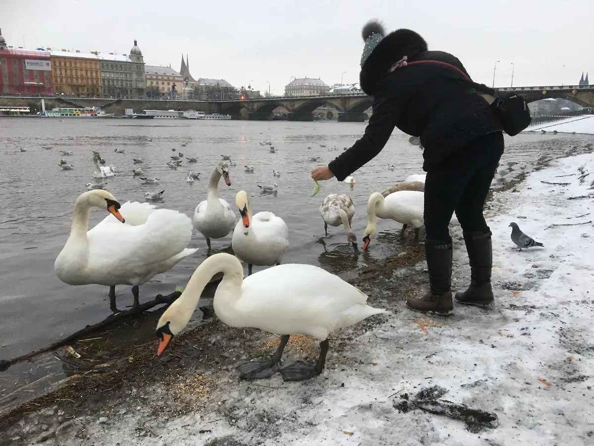 Apartment Vltava Prag Tjekkiet